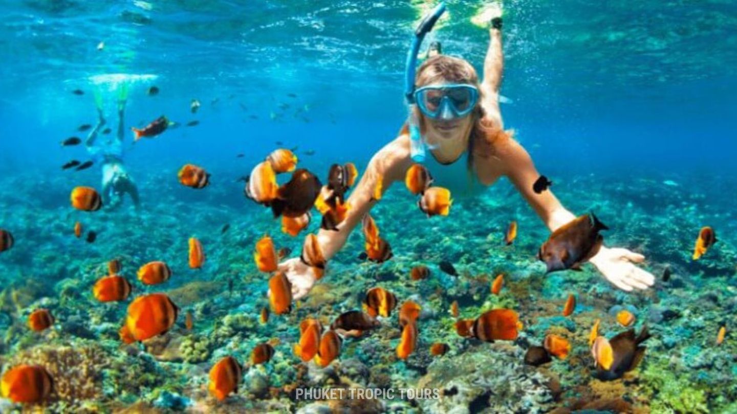 Snorkeling on Phi Phi Don